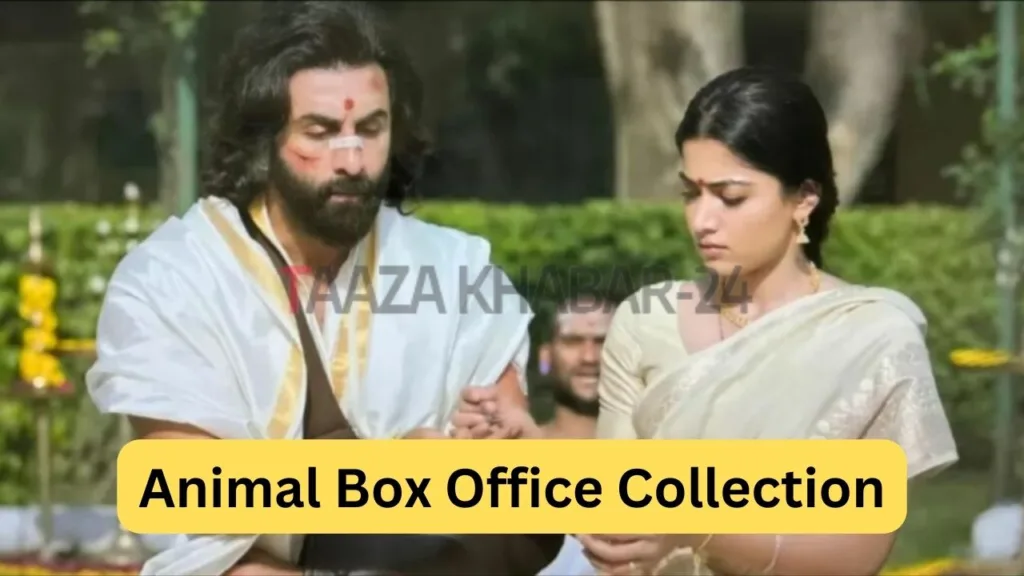 Animal Box Office Collection