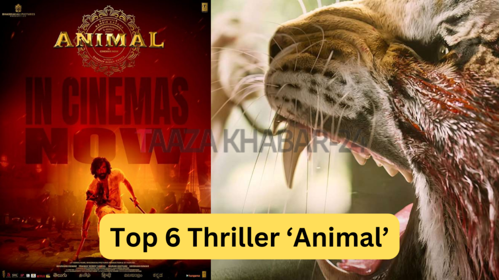 Top 6 Thriller ‘Animal’