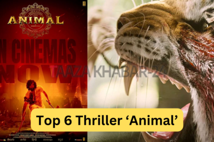 Top 6 Thriller ‘Animal’